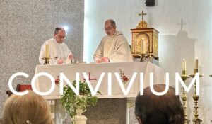 ¿Qué es el convivium?