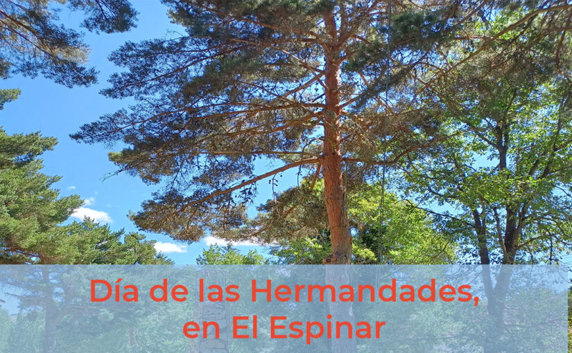 1 de octubre 2023: Fiesta de los Trabajadores y sus familias en El Espinar, convivencia, sorteos y muchas sorpresas